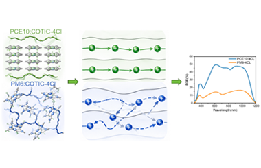 Donor dependent molecular packing and charge transport govern the performance of COTIC-4Cl based organic shortwave infrared photodiodes 2026.101076